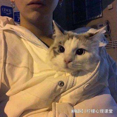 皇途霸业变态版下载
